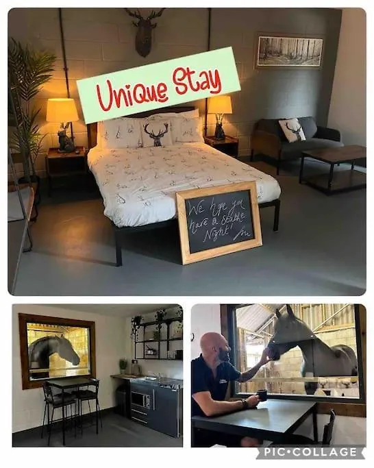 Sleep Next To A Horse In A Stable By The City ! Exeter