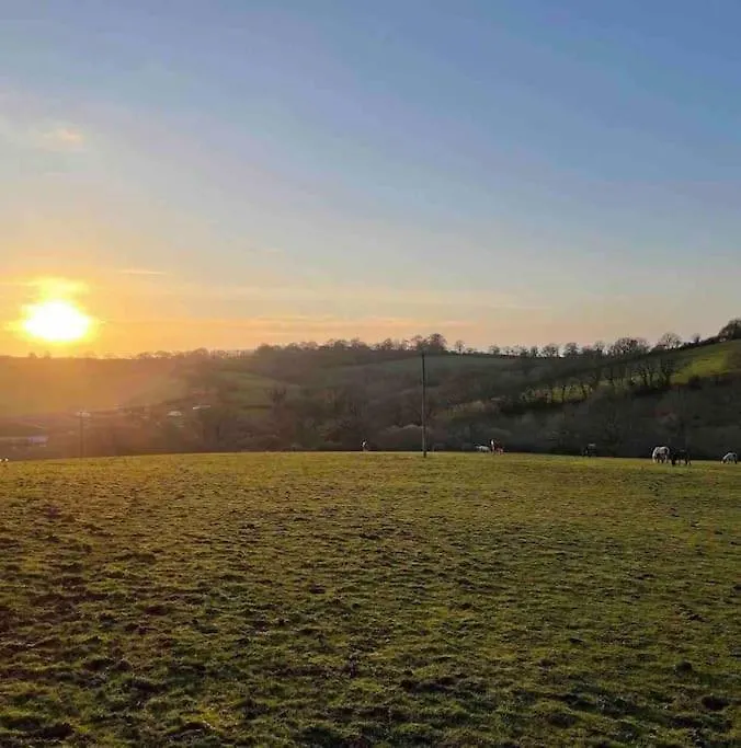 Sleep Next To A Horse In A Stable By The City ! Exeter United Kingdom
