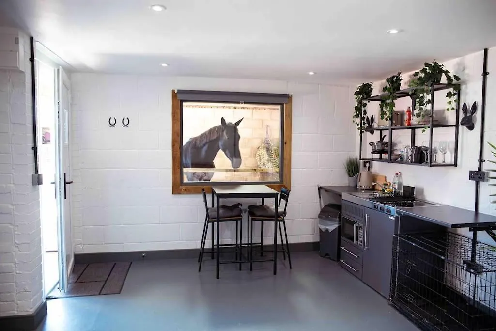 Sleep Next To A Horse In A Stable By The City ! Exeter