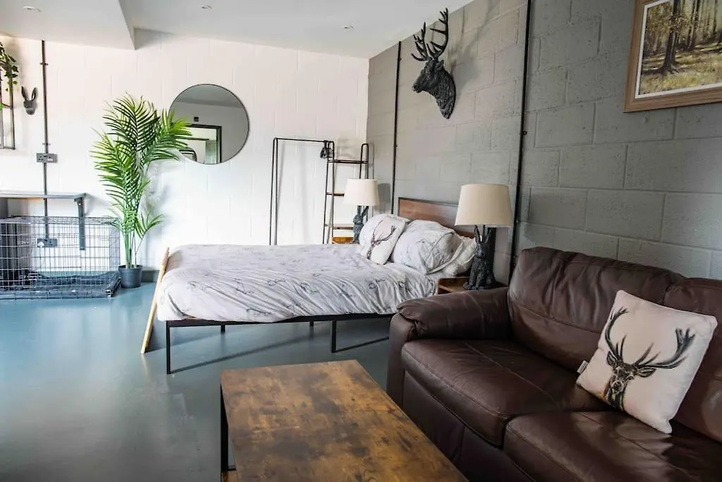 Sleep Next To A Horse In A Stable By The City ! Exeter Apartment