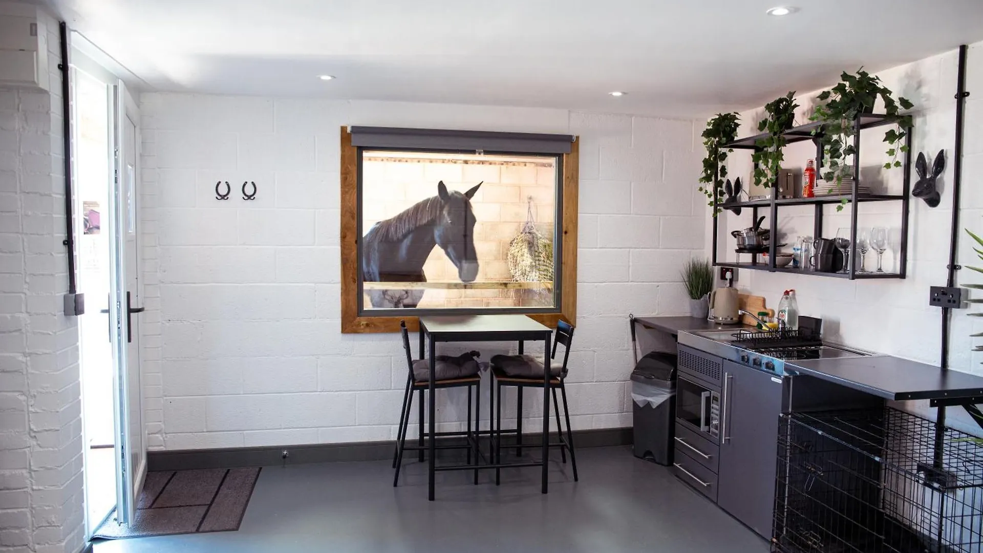 Sleep Next To A Horse In A Stable By The City ! Exeter United Kingdom