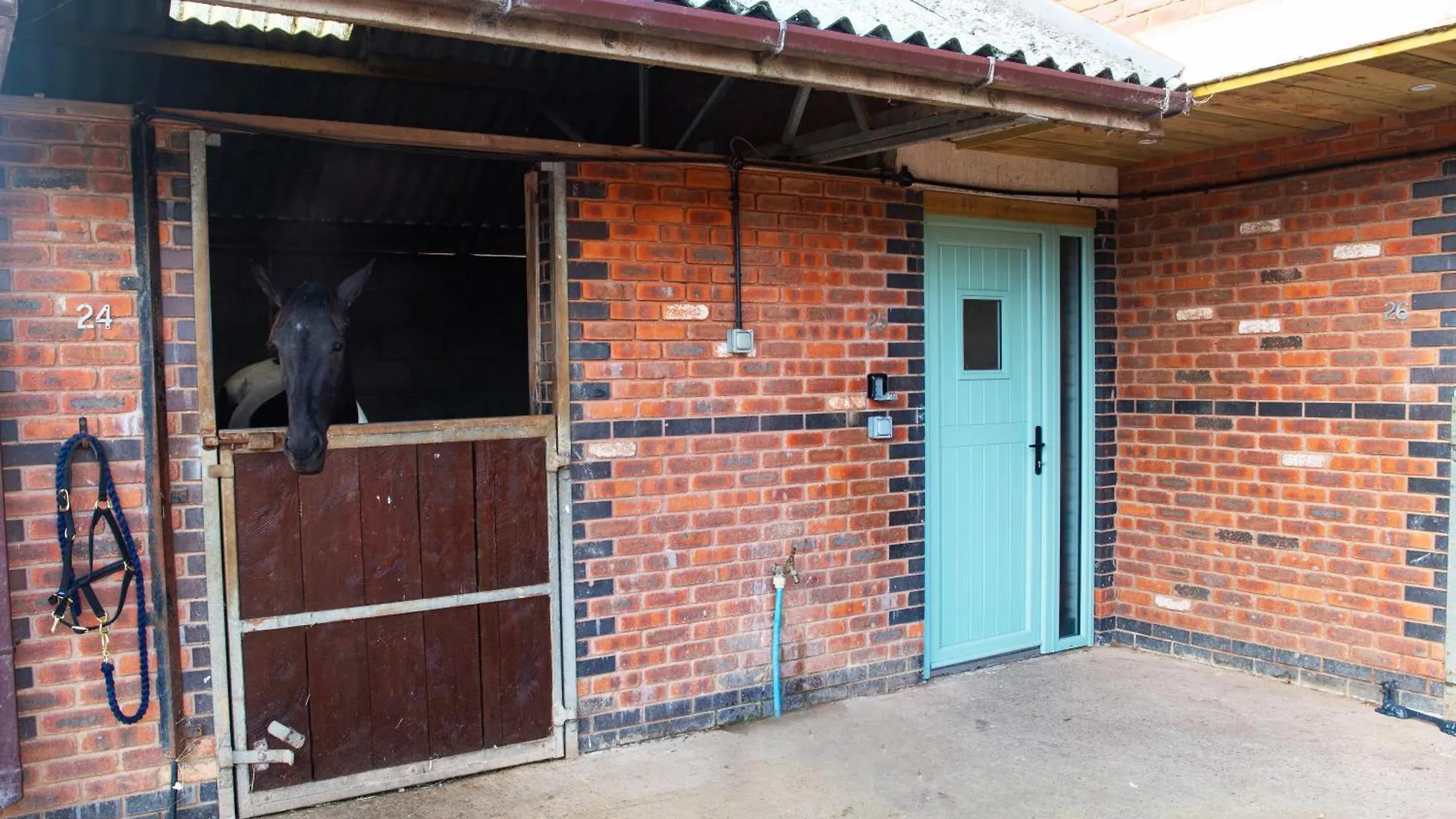 Apartment Sleep Next To A Horse In A Stable By The City ! Exeter