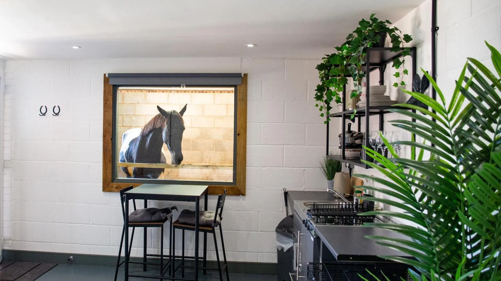Sleep Next To A Horse In A Stable By The City ! Exeter 0*,  United Kingdom
